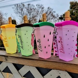 Popsicle juice/ water bottle with a strap